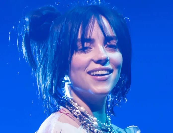 Billie Eilish Struck by Necklace Thrown by Fan During Performance