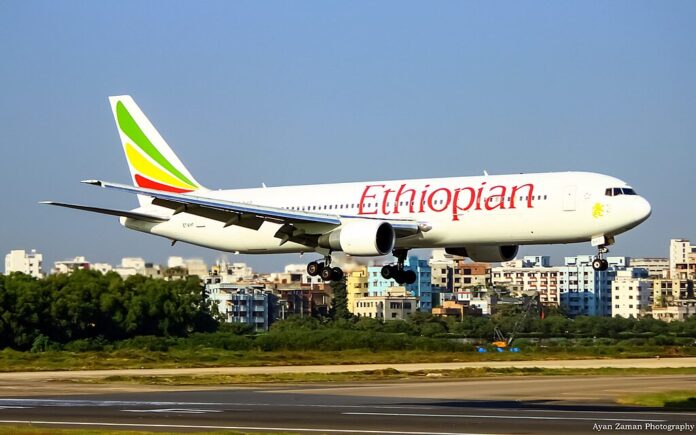 Ethiopian Airlines Accused of Transporting Endangered Monkeys for Animal Testing