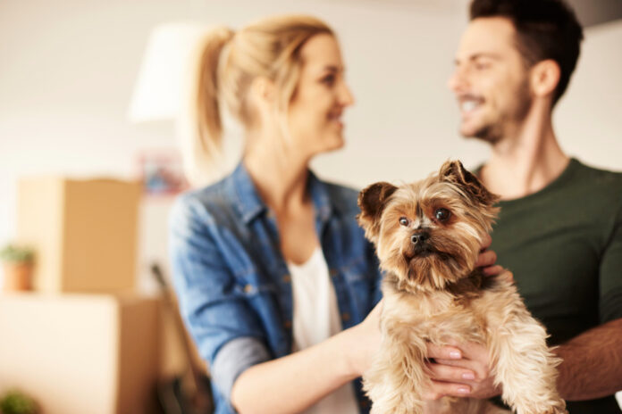 Unlocking Potential: Why Landlords Should Embrace Pets in Rentals
