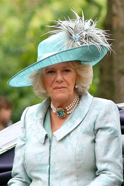 Queen Camilla Inspires Children at Chelsea Primary School