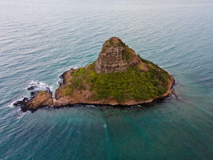 Newly Formed Volcanic Island Rises in Western Pacific After Underwater Eruption