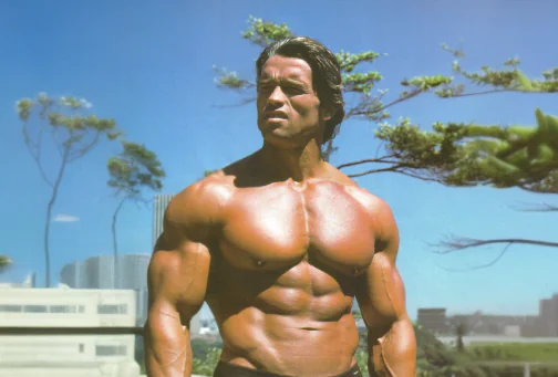 Arnold Workout Guide 2024, Get Back in Shape, Part 2: