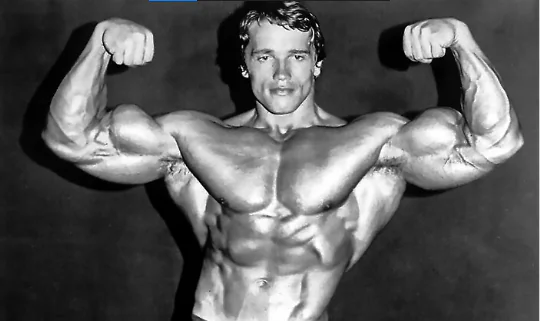 Arnold Workout Guide