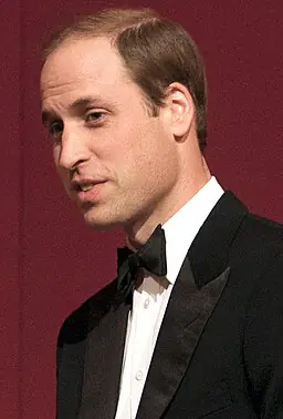 Prince William Unimpressed with Prince Harry's 