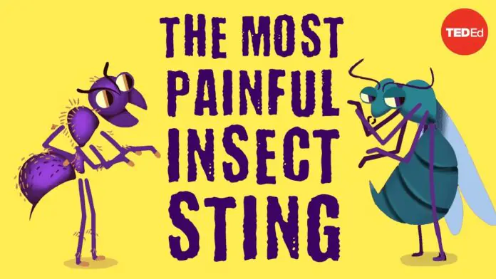 Pain index insects