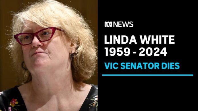 Linda White Labor Senator Dies After Health Battle