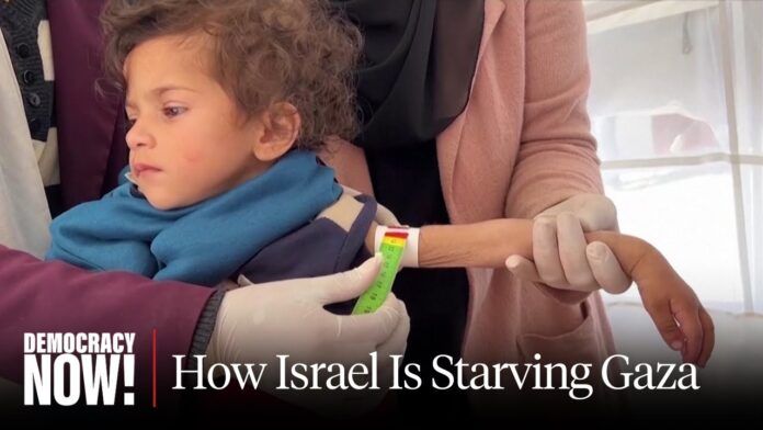 Gaza hunger crisis