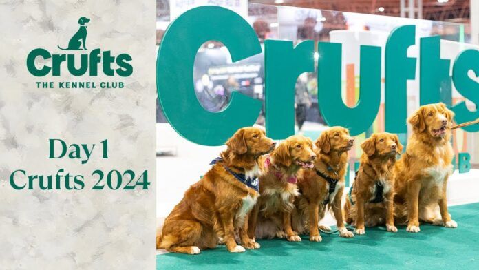 Crufts 2024 Live Updates: Schedule, TV Coverage, and More