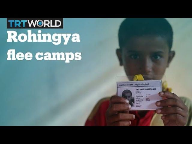 Rohingya Refugee Crisis