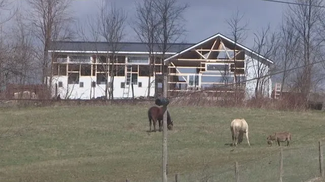 Ohio kennel fire