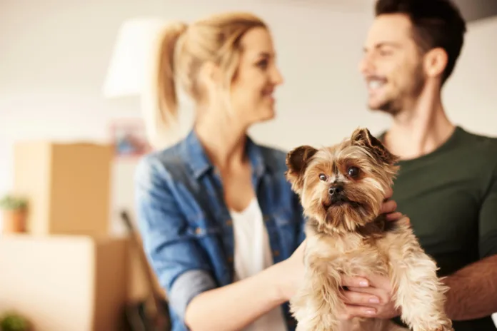 Unlocking Potential: Why Landlords Should Embrace Pets in Rentals