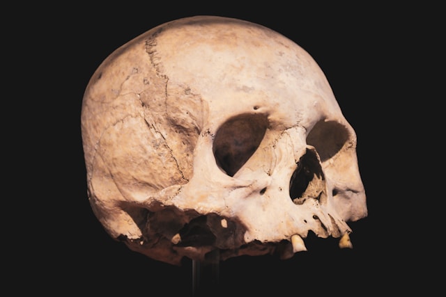 Oldest Human Remains in Europe Discovered in Spain