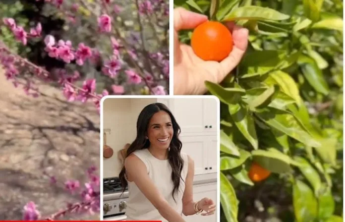 Meghan Markle’s Rare Home Video Gives Intimate Look