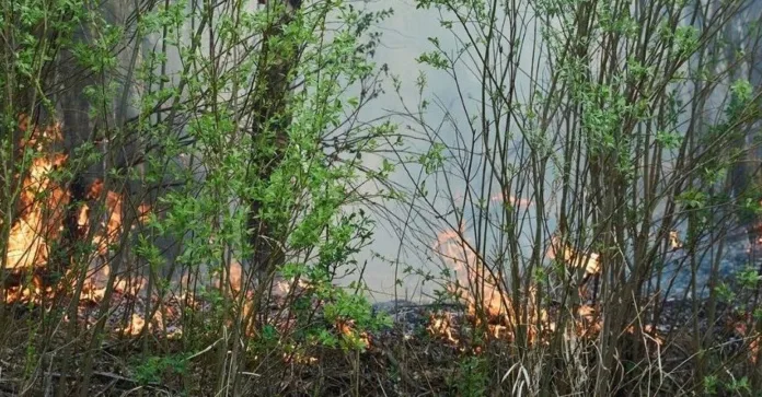 Lac du Bonnet Wildfire Contained, Residents Count Losses