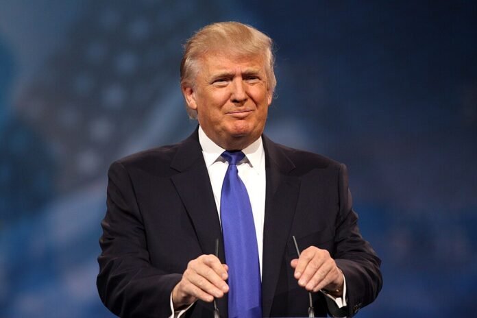 Trump’s Shocking Minerals-for-Peace Offer to Putin