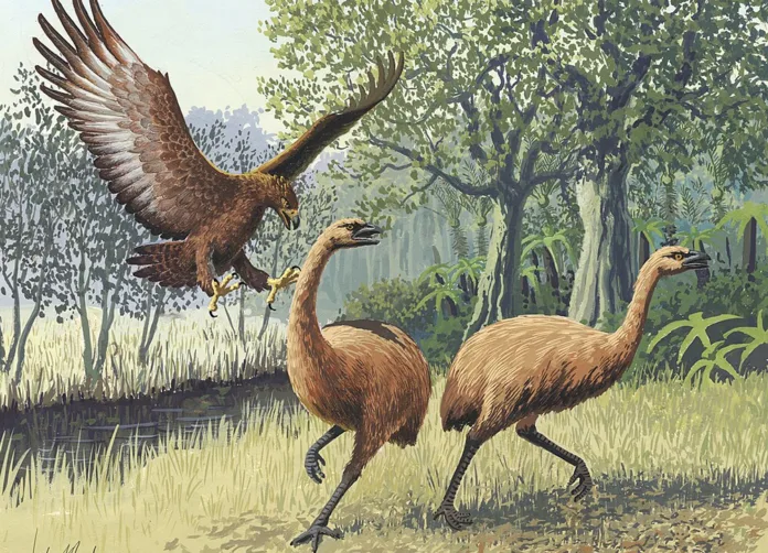 Scientists Aim to Resurrect Extinct 12-Foot Moa Bird