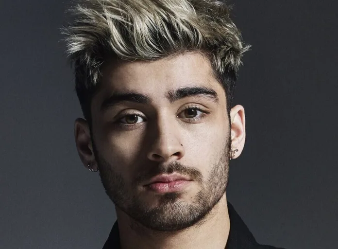 Zayn Malik Fuchsia Sea Hints at Racism in One Direction