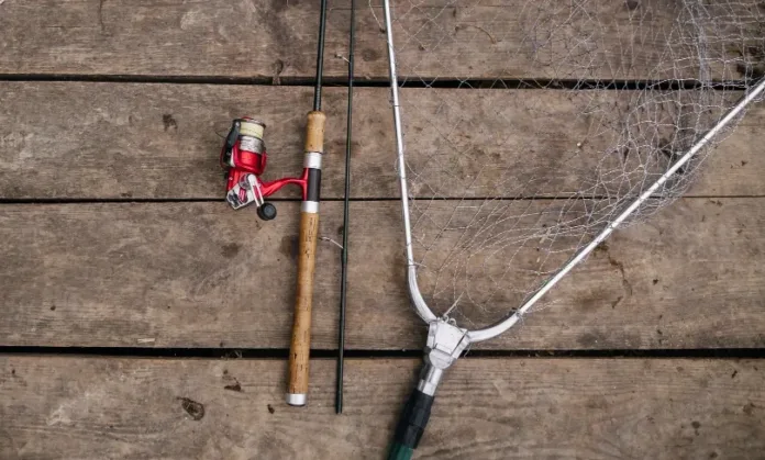 2147870263-e1746179165177