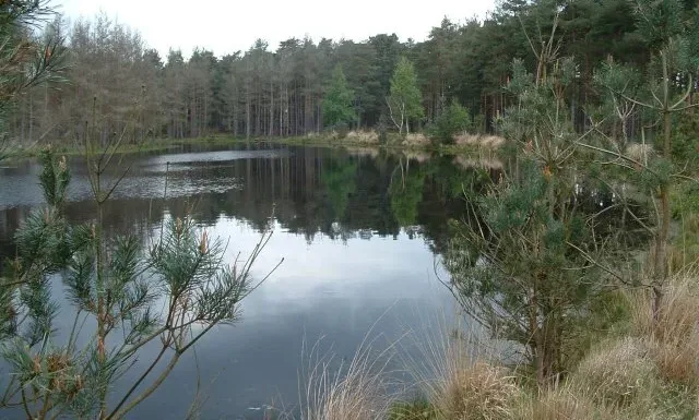 Mother Admits Manslaughter After Toddler Found in Pond