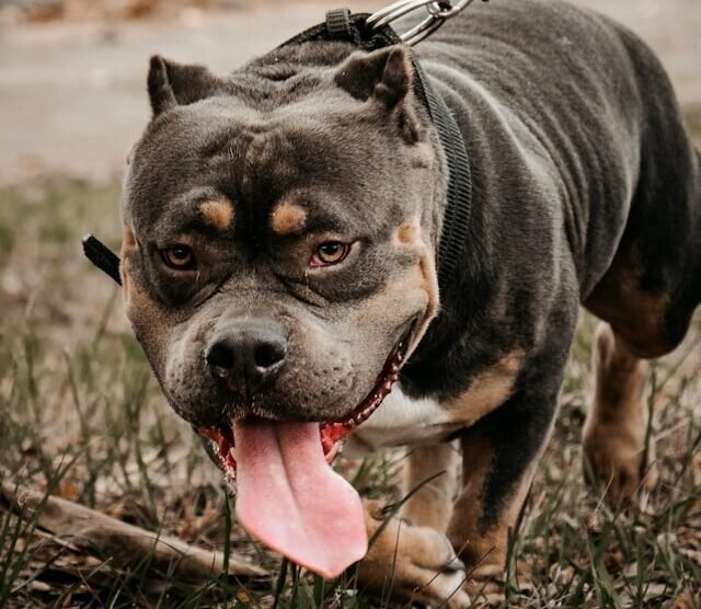 allan-lainez-8fc_woAlcFY-unsplash-e1743749023658