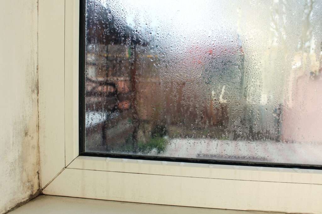 CONDENSATION DAMAGE
