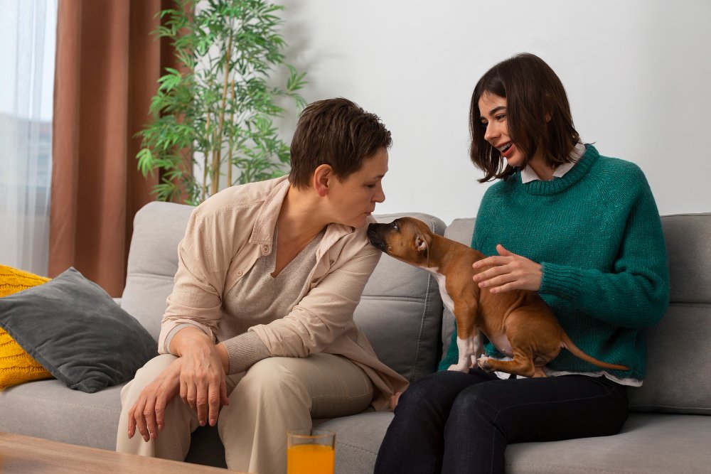 Enhanced Tenant Well being