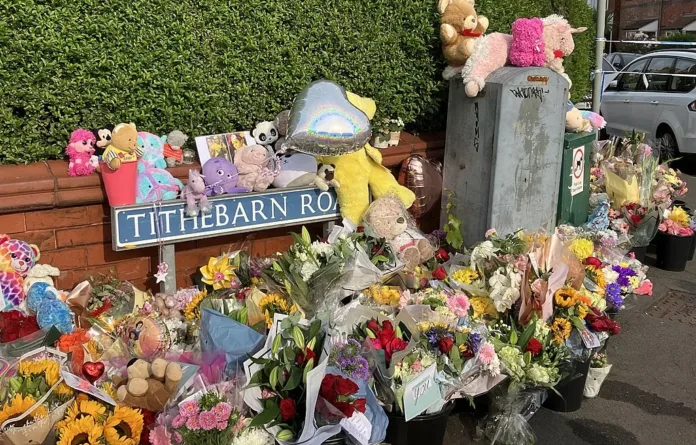 Taxi Driver’s Regret Dominates Southport Attack Inquiry