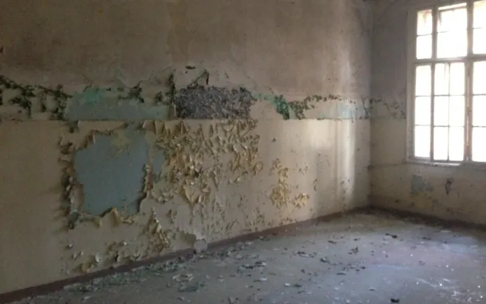 Damp Wall 98% of Tory Insulation Homes Faulty, Audit Reveals Failures