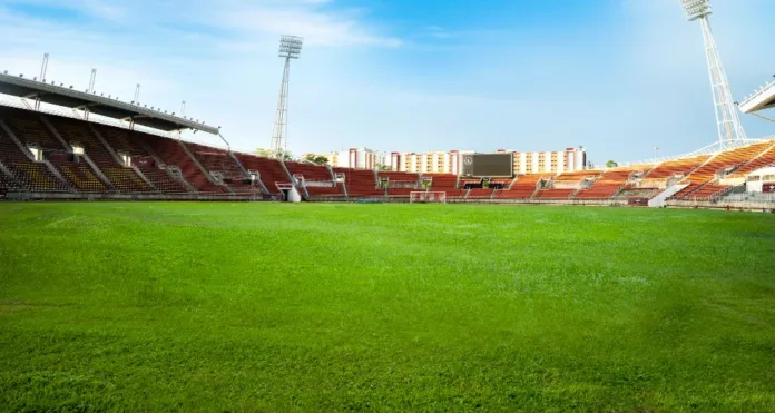 Football Ground Fish Fires Cardiff to 2–1 Win Over Wrexham in Cup