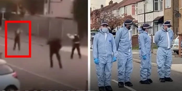 Dog walker Wayne Broadhurst killed in ‘senseless’ Uxbridge triple stabbing Dog walker Wayne Broadhurst killed in ‘senseless’ Uxbridge triple stabbing