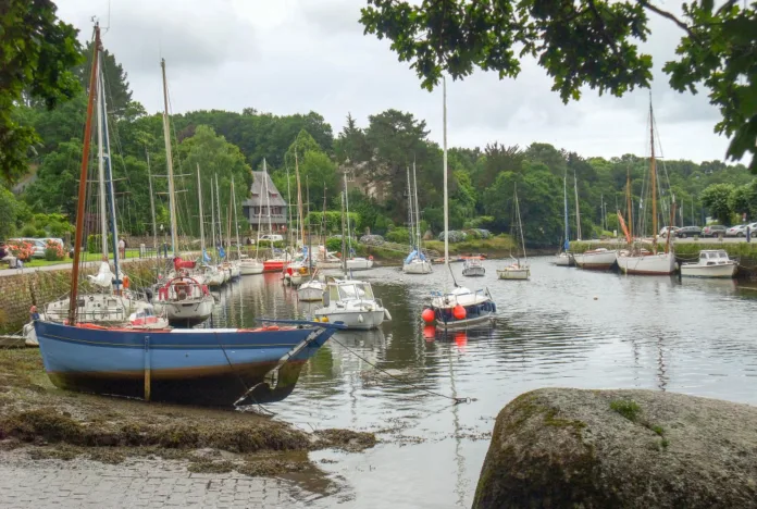 Woman, 21, Found Dead in Cardigan Boat Yard as Man Arrested