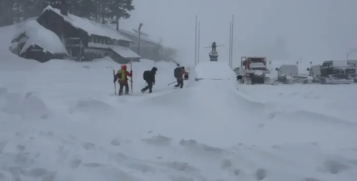 Eight Skiers Found Dead After California Avalanche