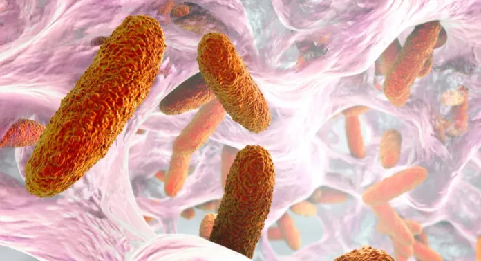 Common Weedkiller Fuels Superbug Growth Risk Increase