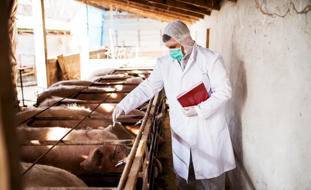 Makeup Brands Testing on Animals: Truth Behind Them