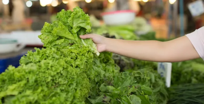 A shopper picks up fresh lettuce at a market as health officials investigate the Michigan parasite outbreak linked to suspected contaminated leafy greens.