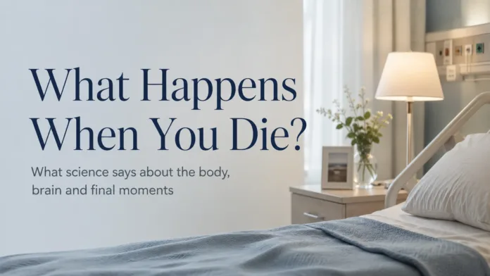 An image titled: What happens when yo die, denoting its a feature image for the blog of the same name