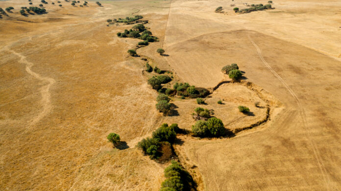 COP16 Desertification Conference Riyadh: $150M Initiative