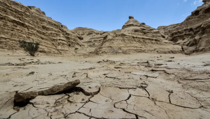 COP16 Riyadh Land Restoration & Drought Resilience