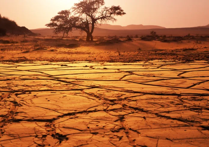 COP16 Drought Resilience Fund: $12 Billion for Land Restoration