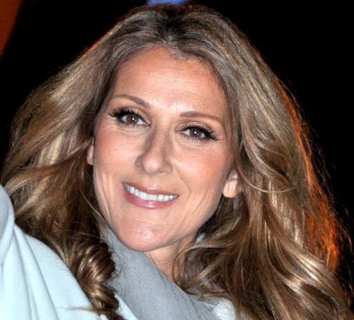 Celine Dion's Wedding Headpiece Mishap Lands