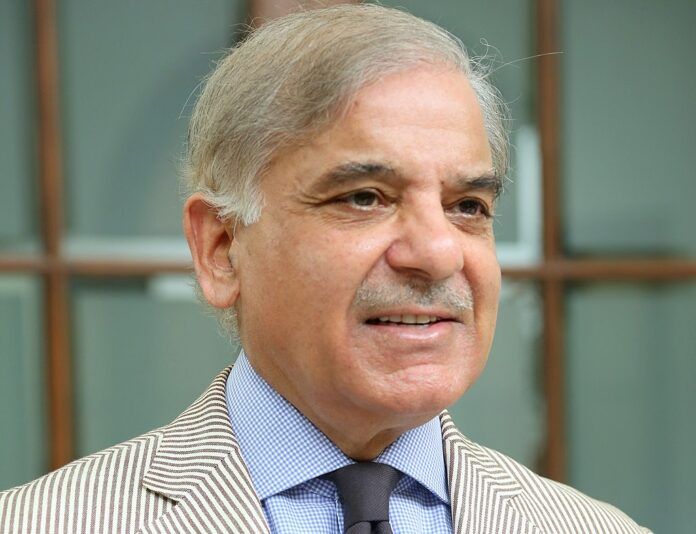 PM Shehbaz Aims for Stronger Pak-Russia Cooperation