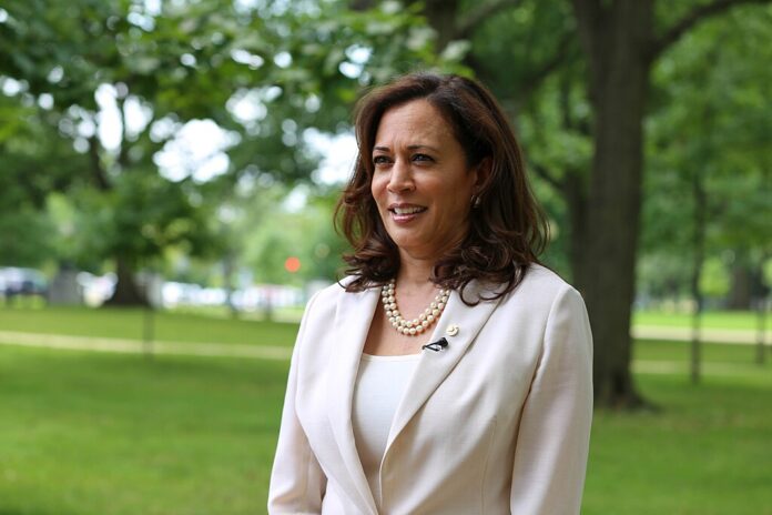 Kamala Harris Counters Hecklers at La Crosse Rally with Quick Wit