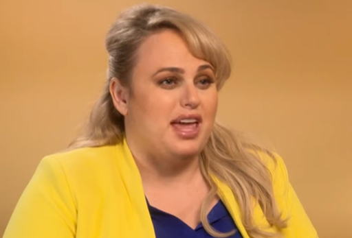 Rebel Wilson's UK Book Release Omits Sacha Baron Cohen