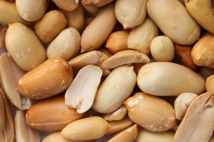 Early Peanut Exposure Cuts Allergy Risk by 71%