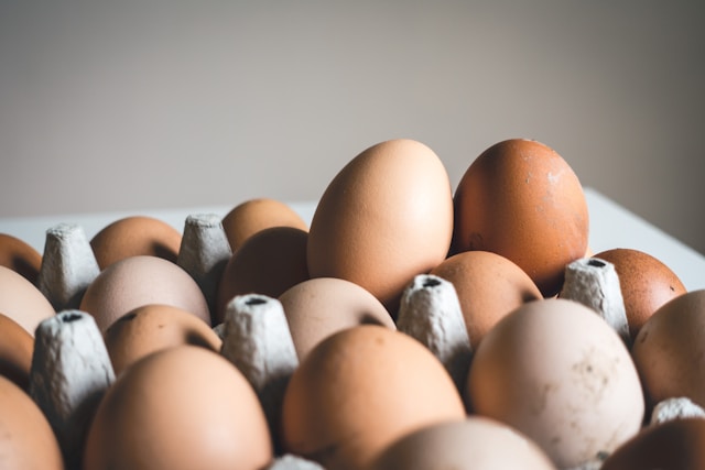 Experts Recommend Daily Consumption of Eggs for Health Benefits