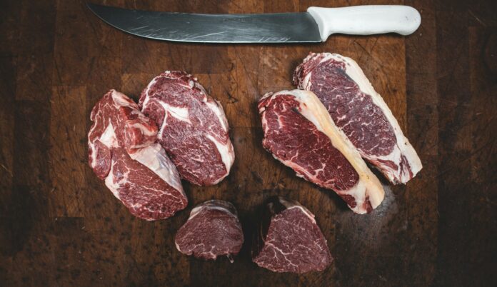Meat Mania: Inside Carnivore Dieters