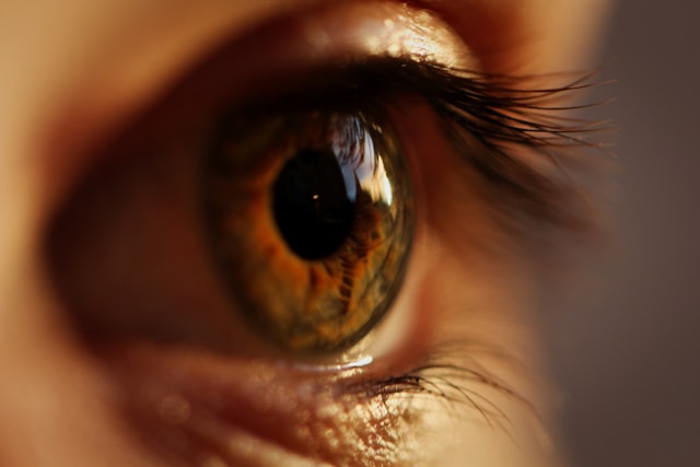 Understanding Dry Eyes: When to Consult Your GP