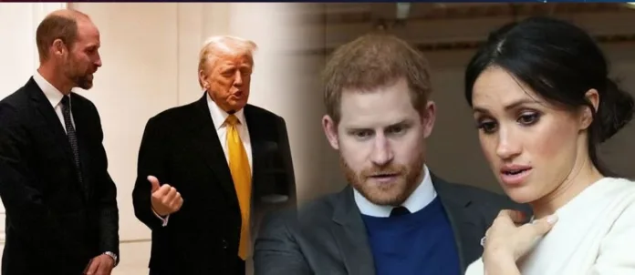 Prince William’s Meeting with Trump Sparks Sussex Fury