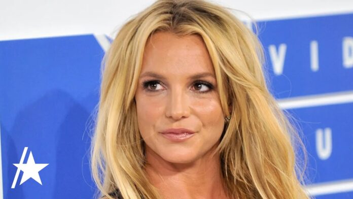 Britney Spears Seen Leaving Chateau Marmont Amid Ambulance Call