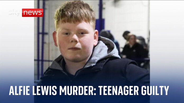 Teen Guilty in Leeds School Stabbing Case